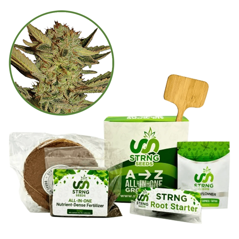Bubble Gum Premium Grow Kit