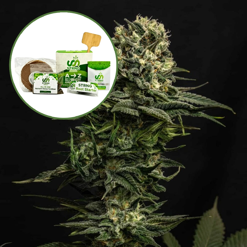 Cookie Frost Strain Grow Kit
