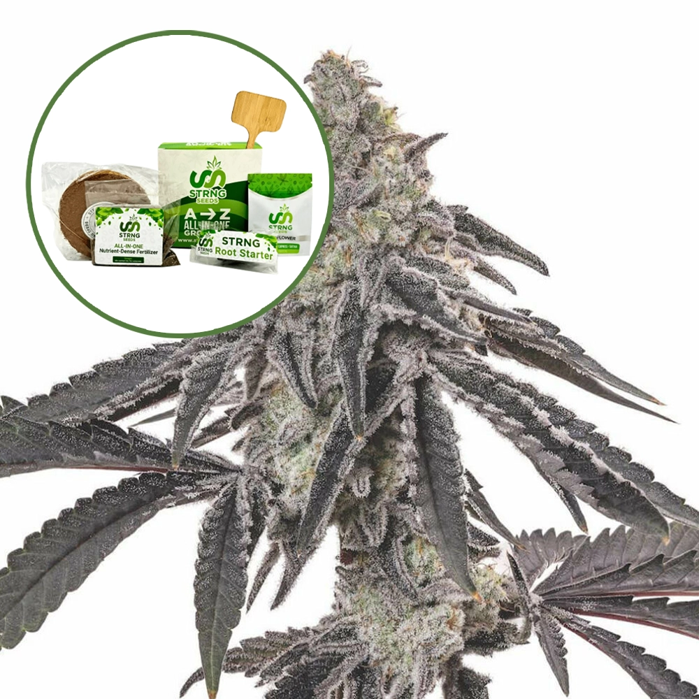 MAC 1 Strain Grow Kit