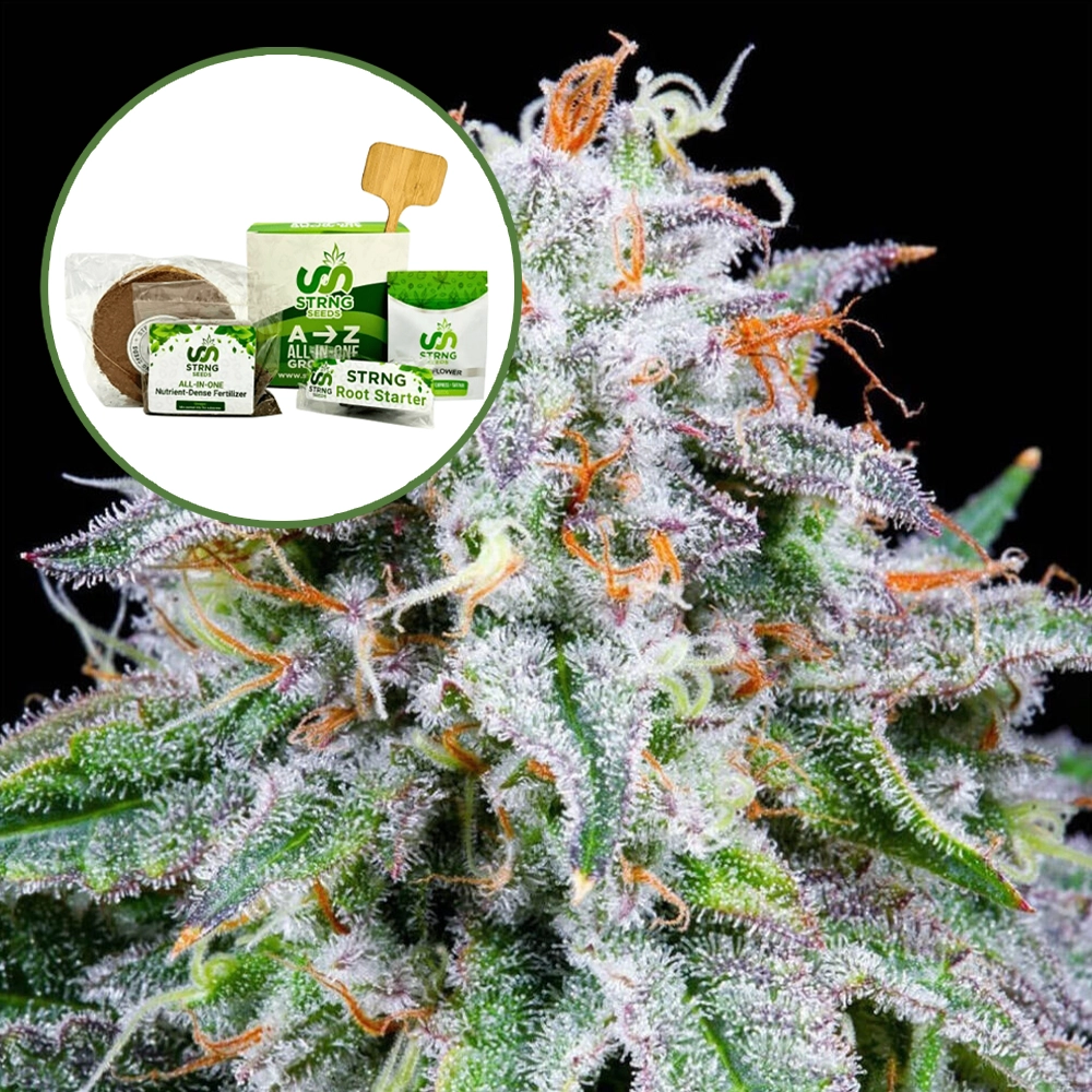 Watermelon Mimosa Strain Grow Kit