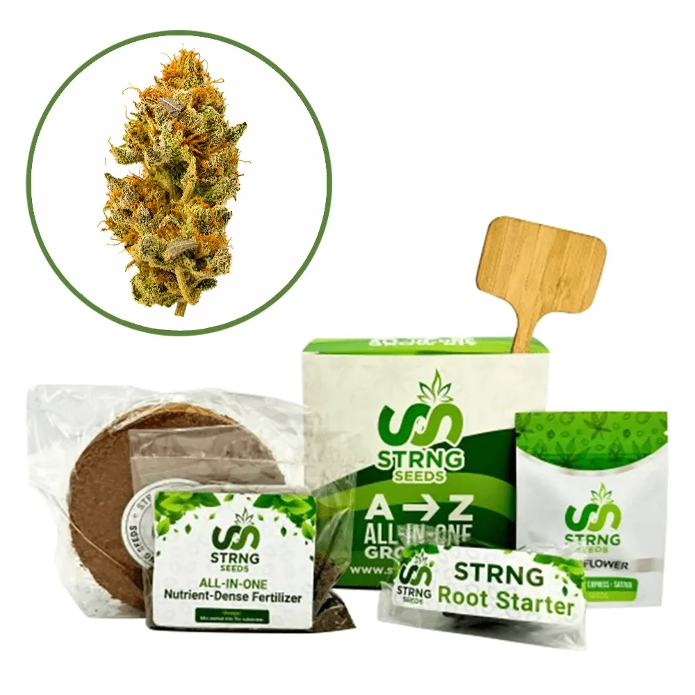 White Widow Auto Premium Grow Kit
