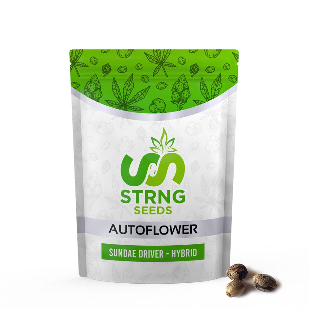 Sundae Driver Auto – STRNG Seeds - Image 2
