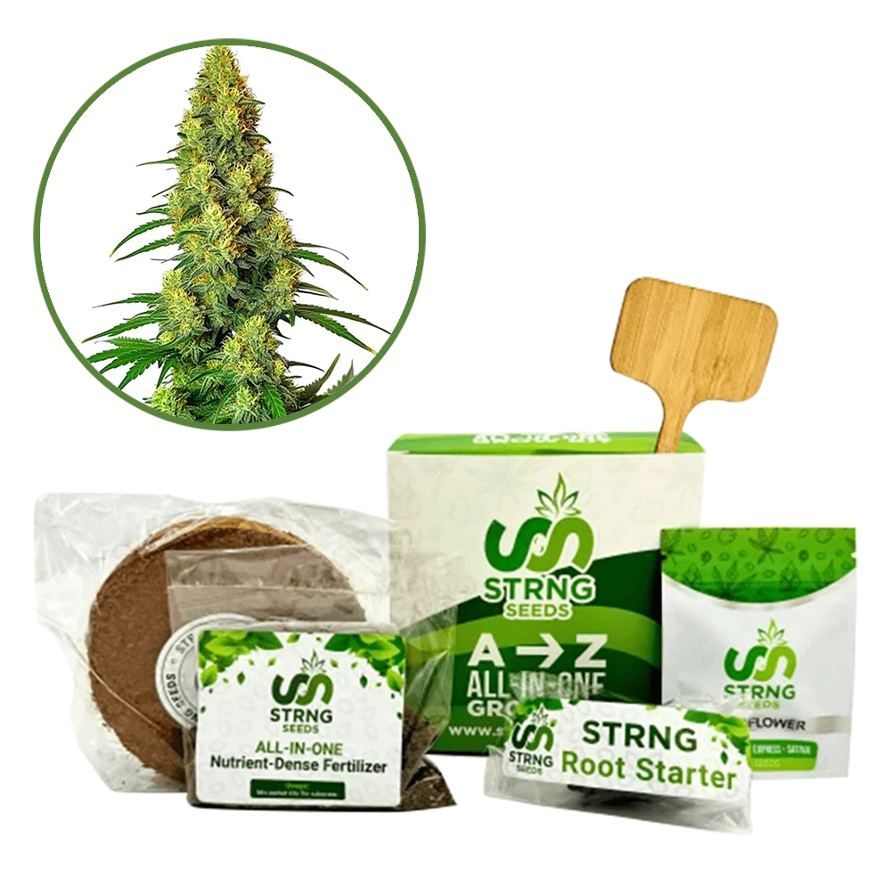 AK 47 Premium Grow Kit