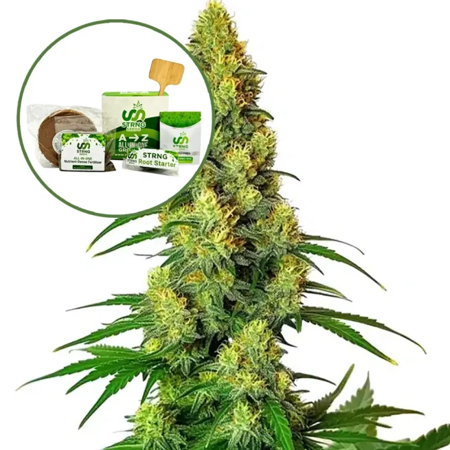 AK-48 Strain Grow Kit