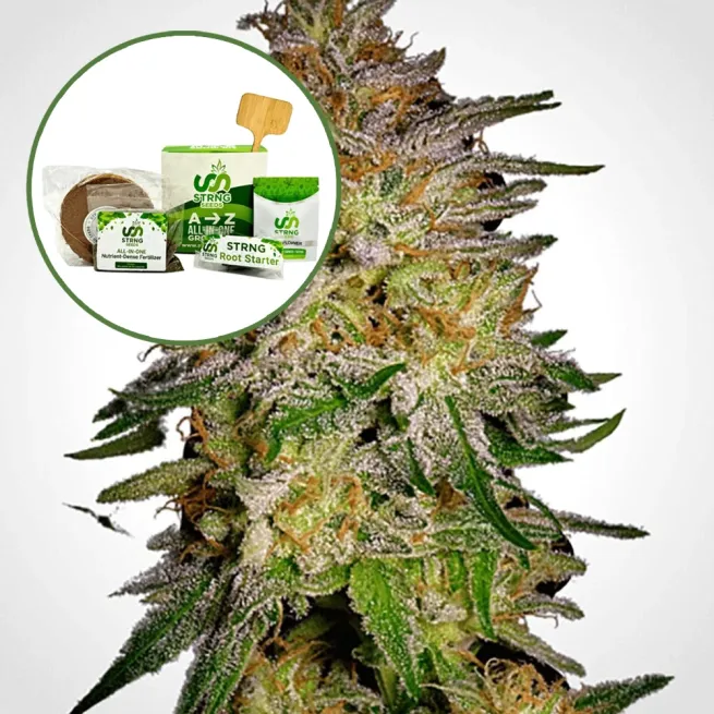 Agent Orange Strain Grow Kit