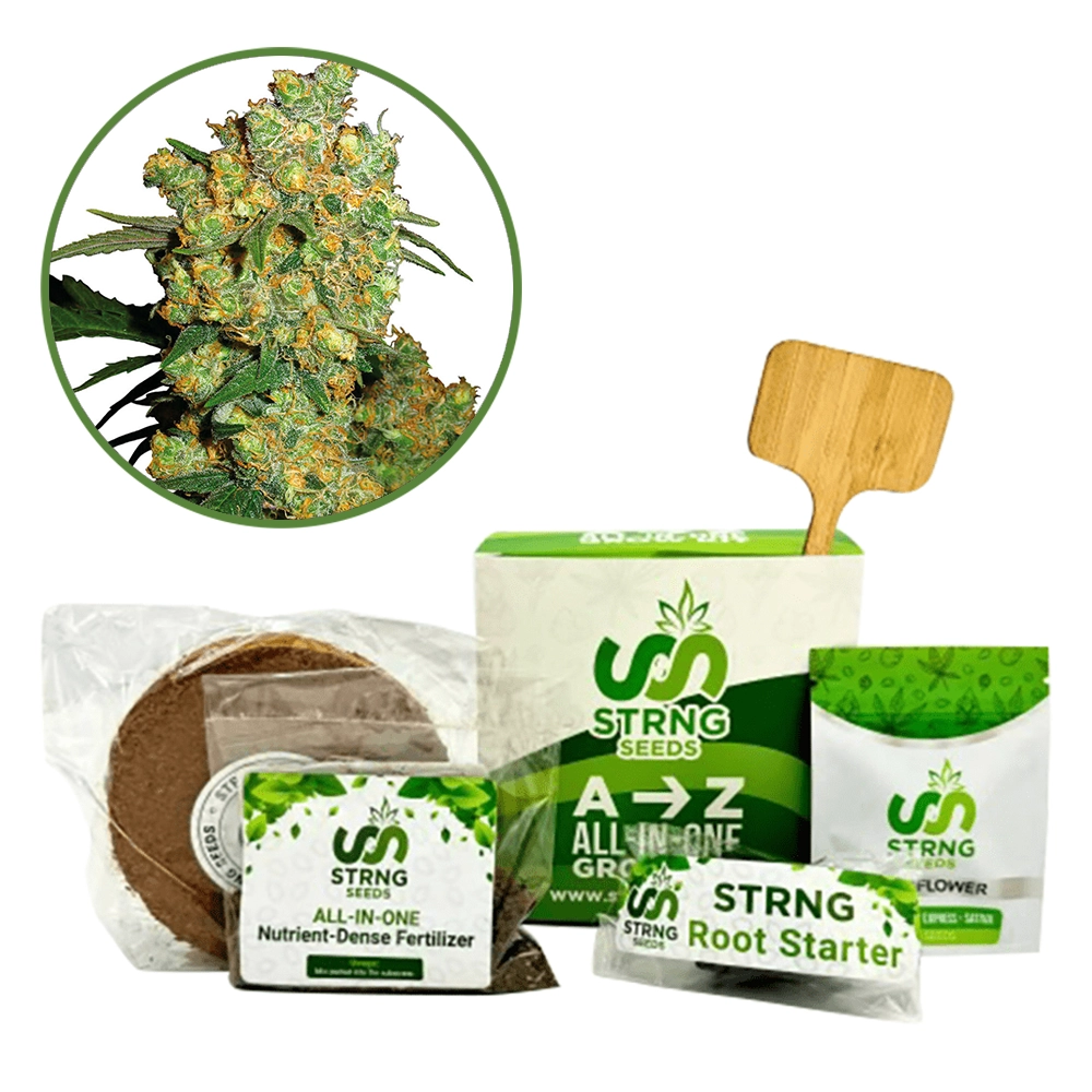 Big Bud Premium Grow Kit