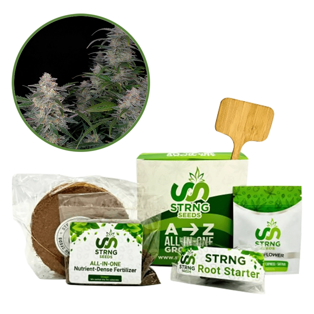 Biscotti Premium Grow Kit