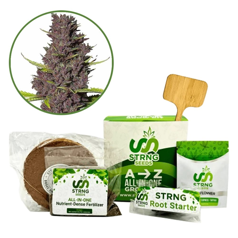 Blue Dream Premium Grow Kit