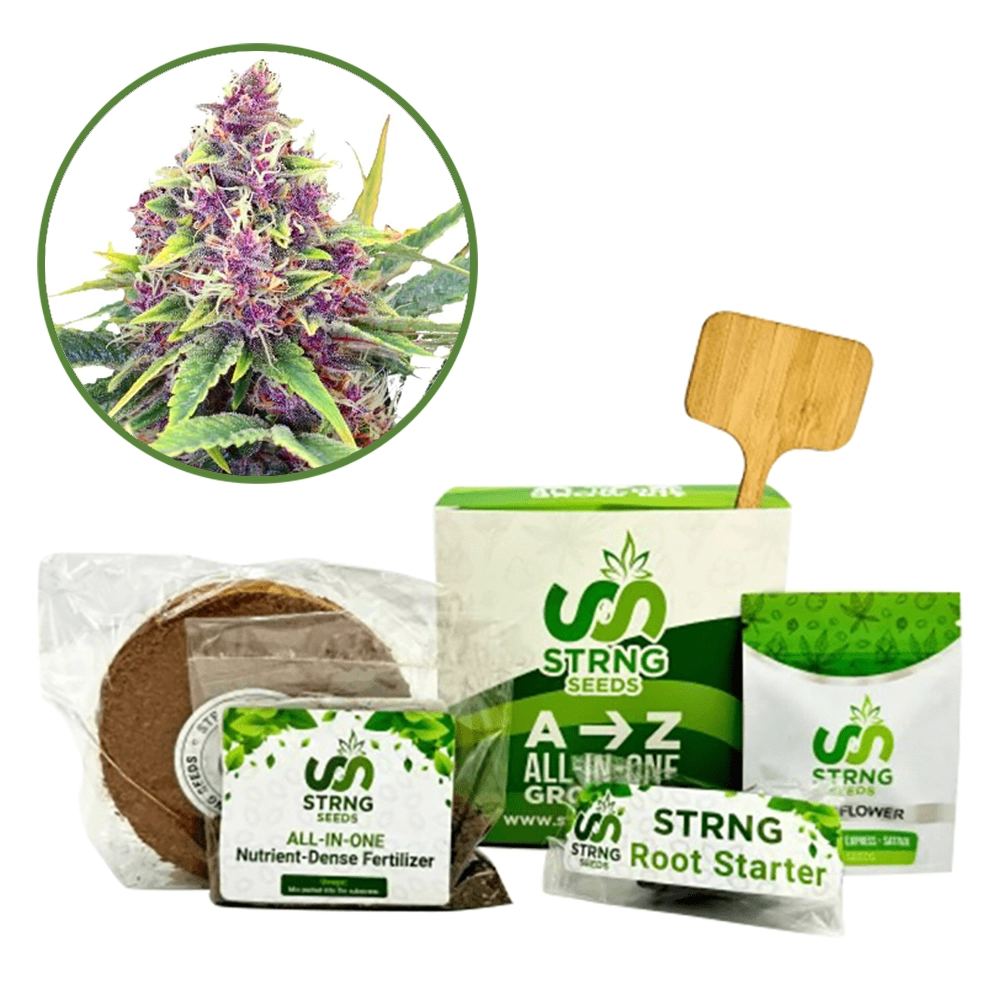 Blueberry Kush Premium Grow Kit