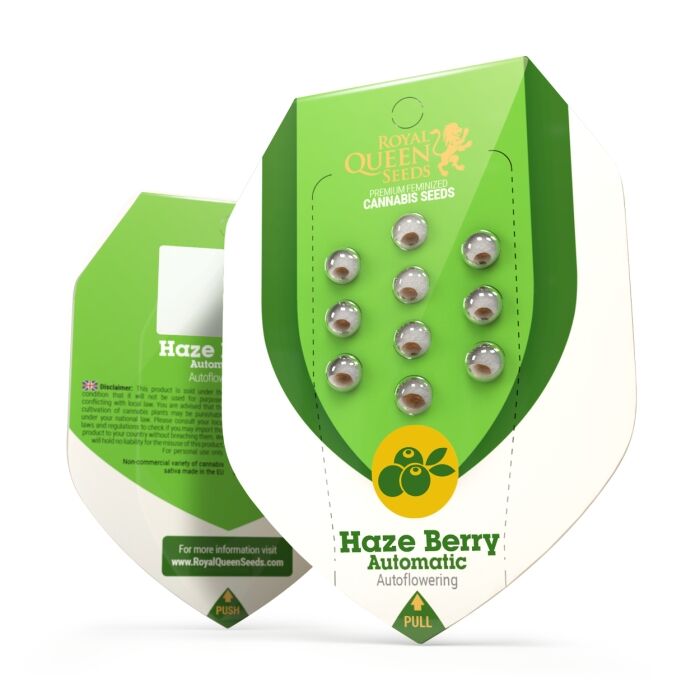 Haze Berry Auto - Image 2
