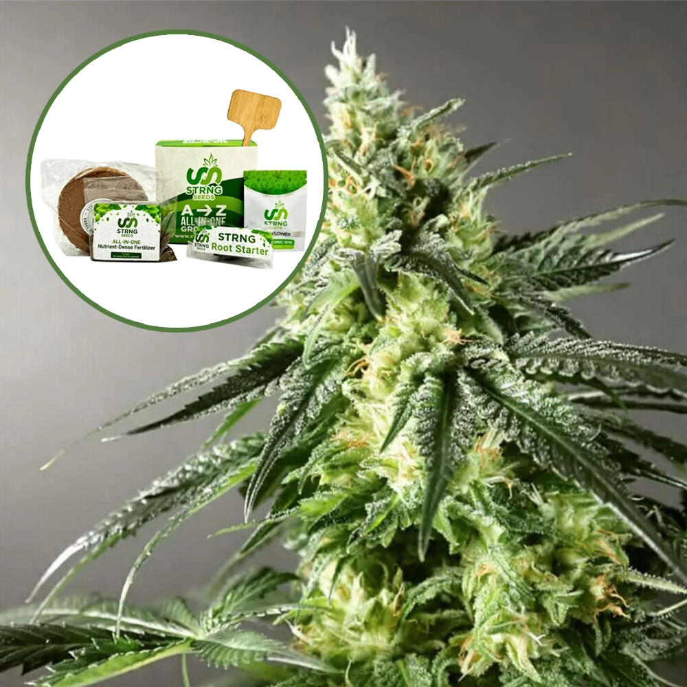 Larry OG Strain Grow Kit