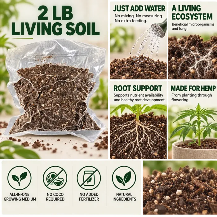 Organic Living Soil - Image 2