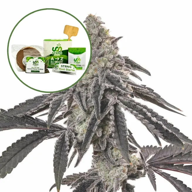 MAC 1 Strain Grow Kit
