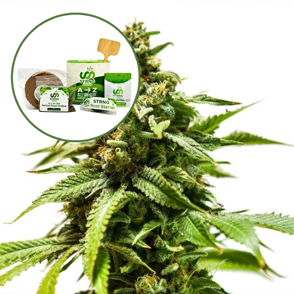 Power Punch Strain Grow Kit