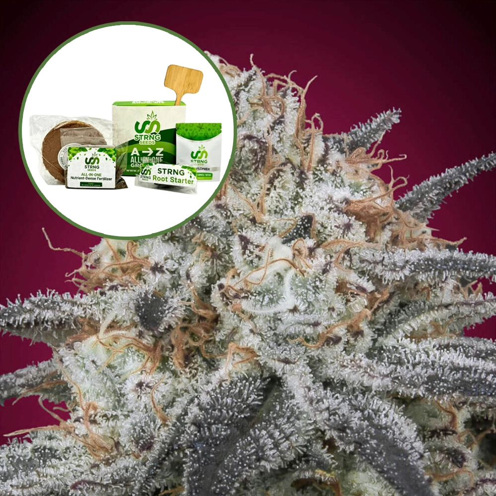 Slurricane Strain Grow Kit