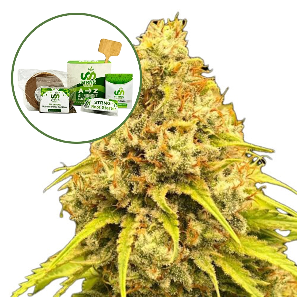Super Lemon Haze Strain Grow Kit