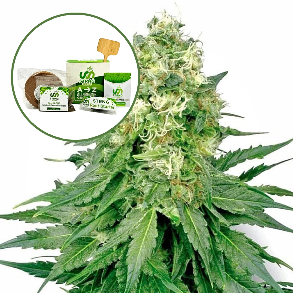 White Rhino Strain Grow Kit