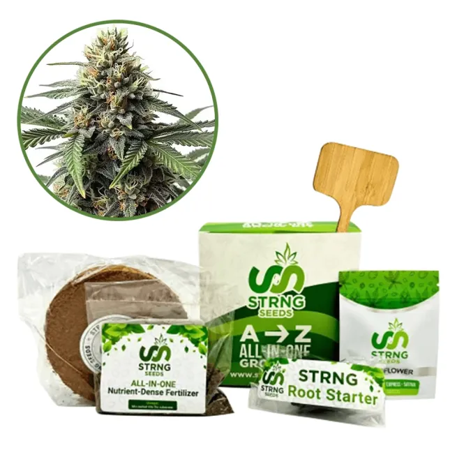 Queen Bee Premium Grow Kit