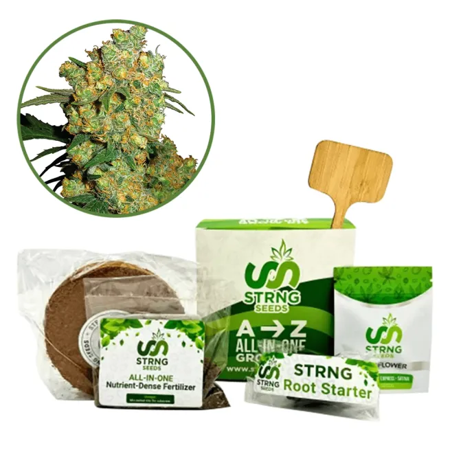 Big Bud Premium Grow Kit