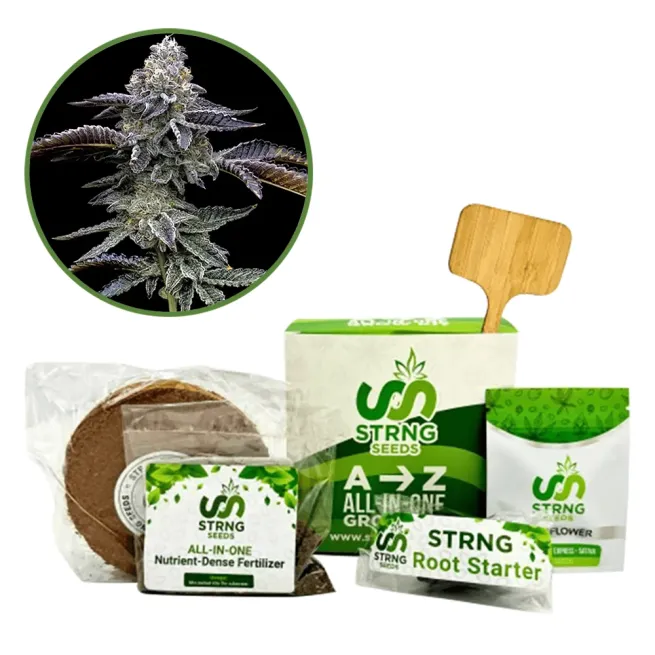 Blue Dream Haze Premium Grow Kit