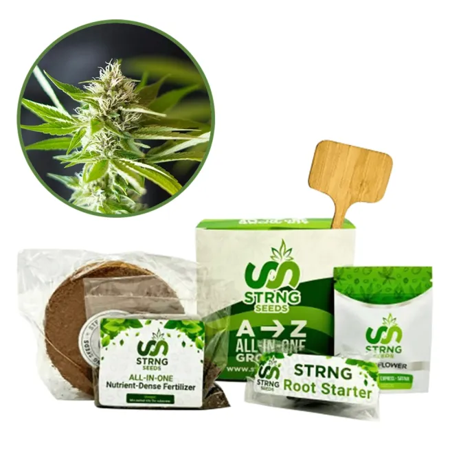 Blue Dream x Northern Lights Premium Grow Kit