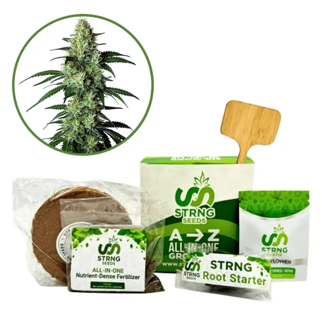 King Louis Premium Grow Kit