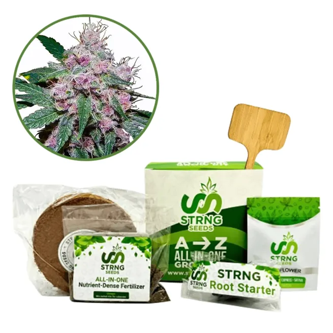 Purple Afghani Premium Grow Kit