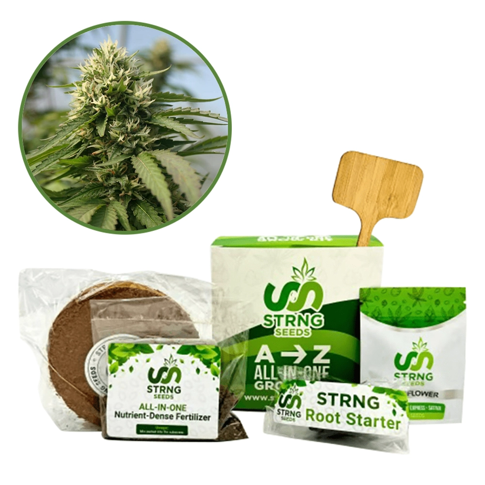 Blueberry Kush x Blackberry Kush Premium Grow Kit