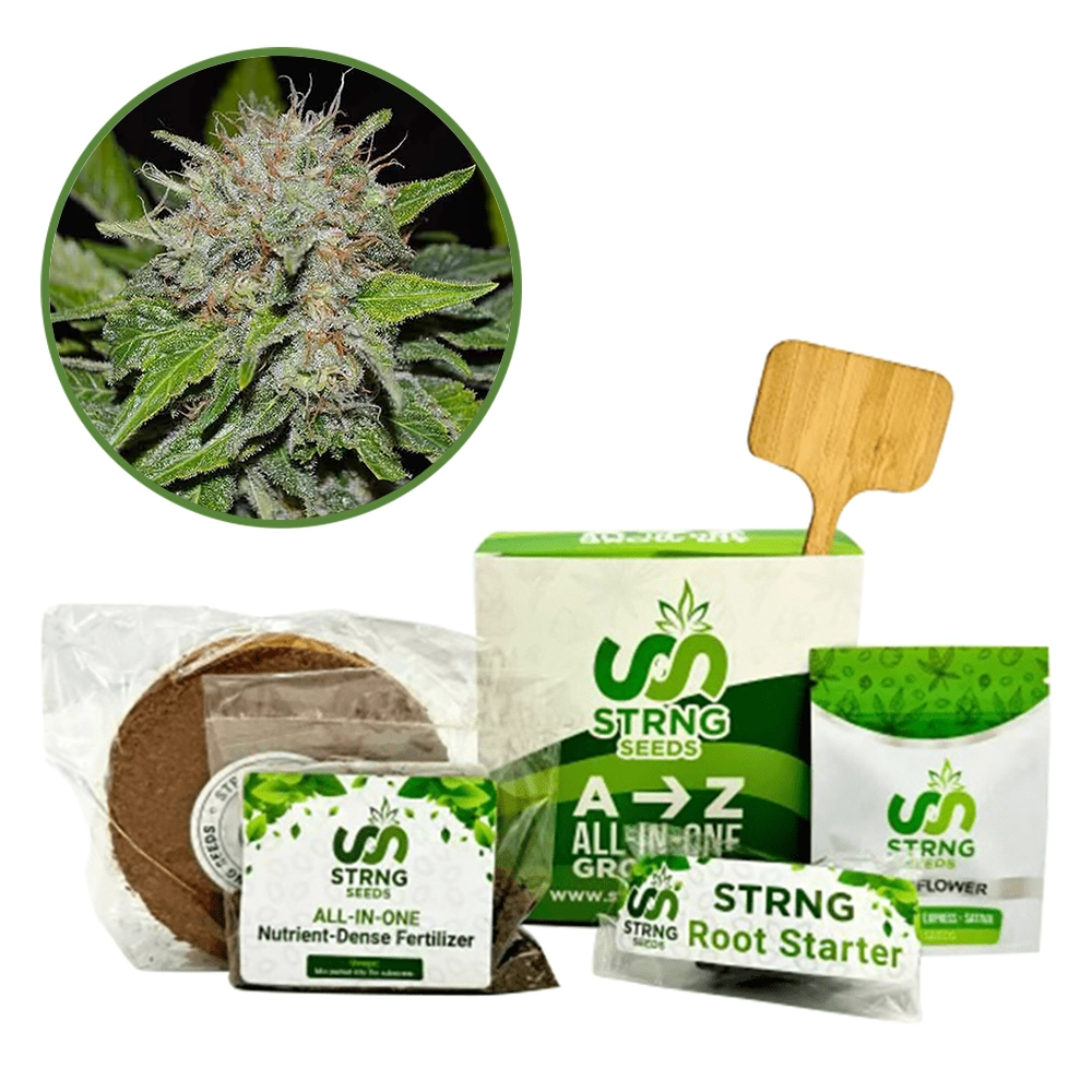Deep Mandarine Premium Grow Kit