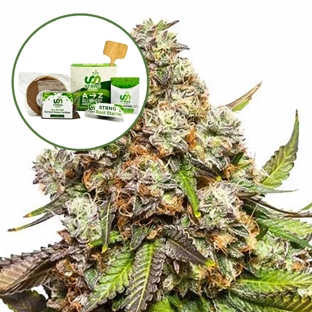 Fruity Pebbles Strain Grow Kit
