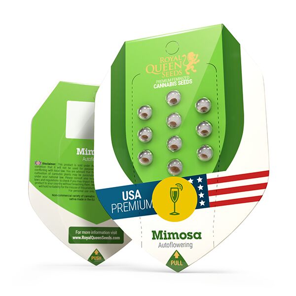 Mimosa Auto - Image 2