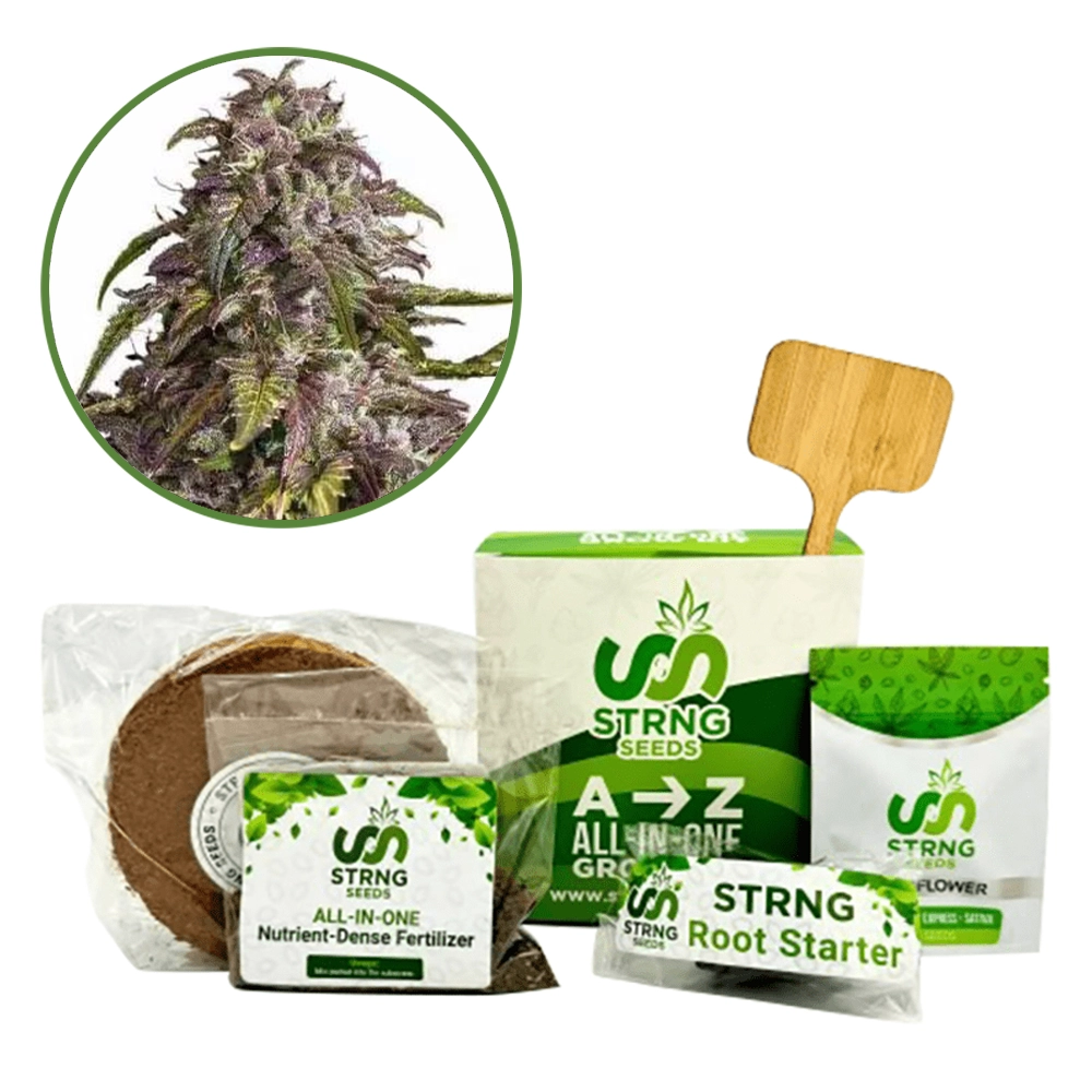 Purple Haze Premium Grow Kit