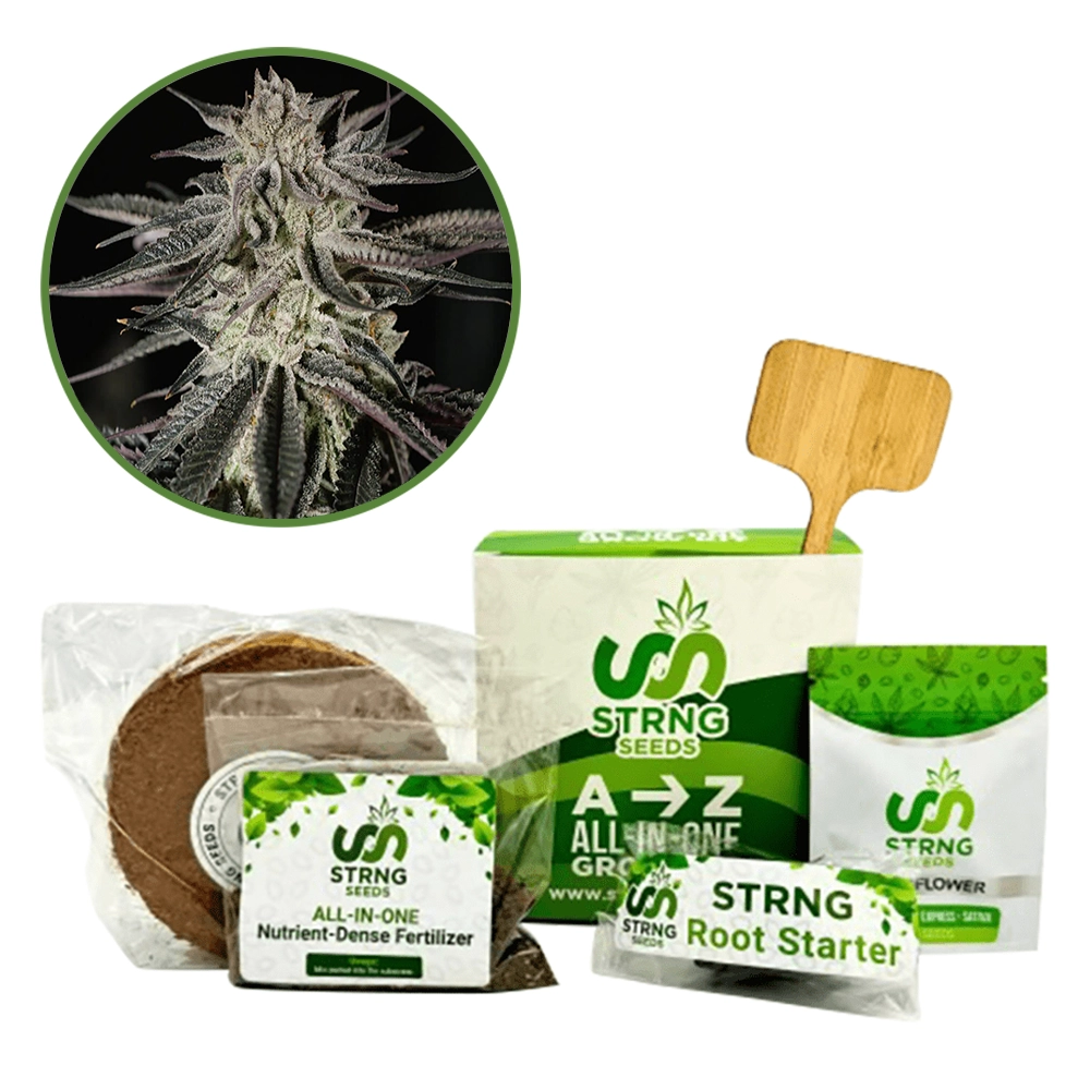 Purple Kush Premium Grow Kit