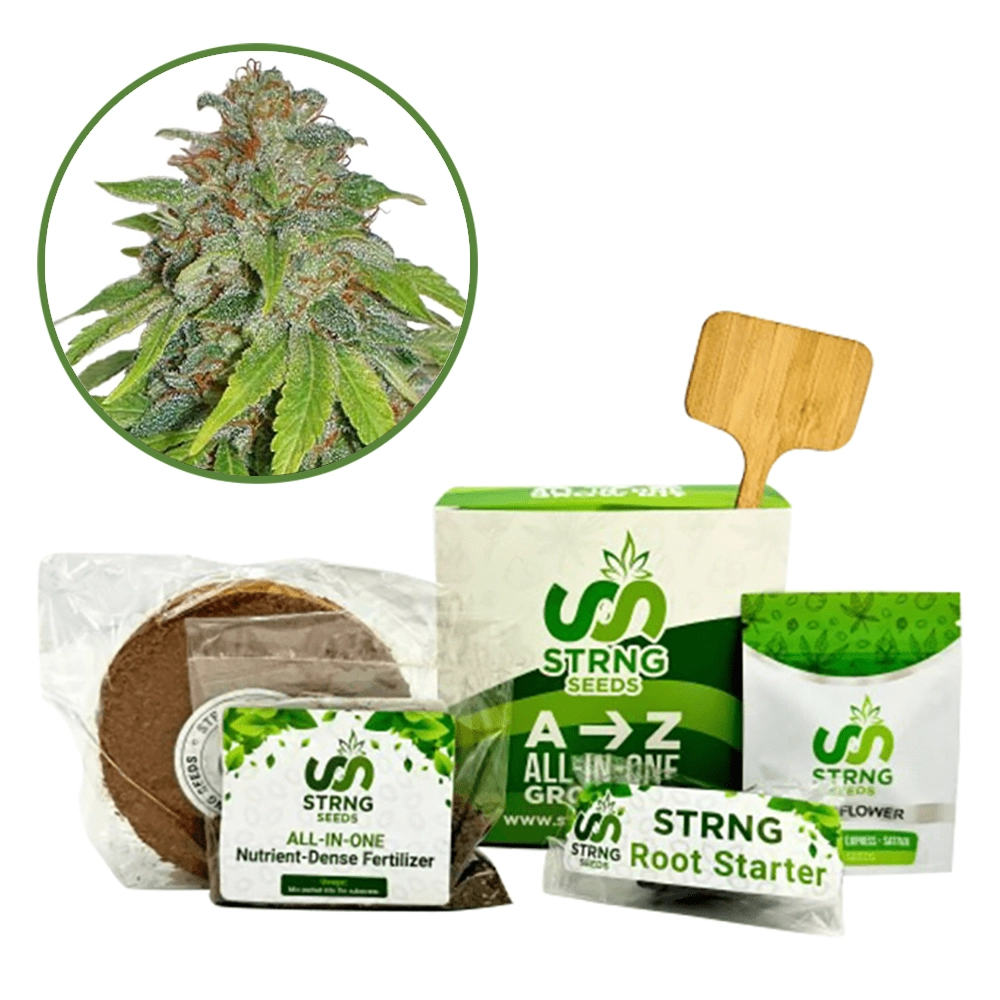 THCA Apple Jack Premium Grow Kit