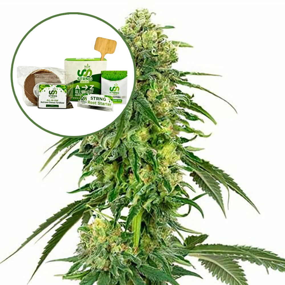 Deadhead OG Strain Grow Kit