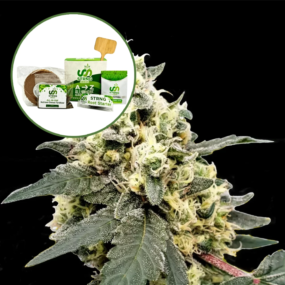 Lemonade Strain Grow Kit