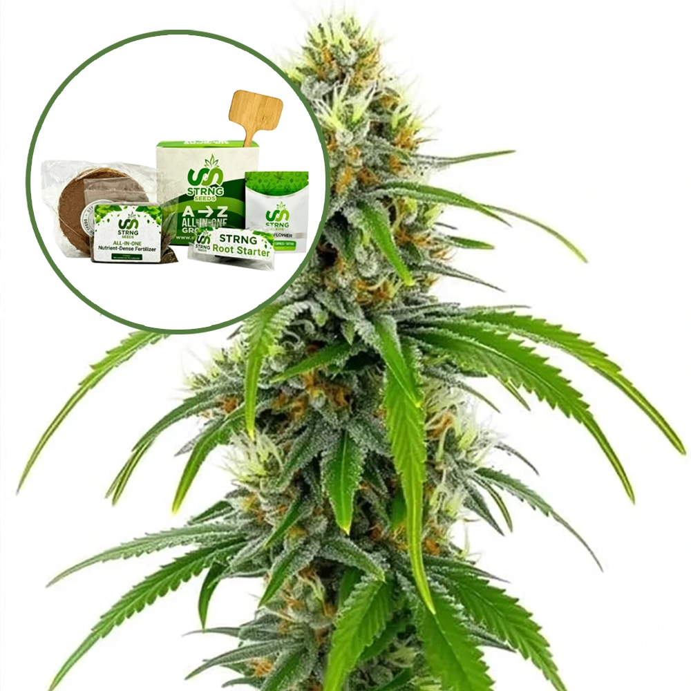 Moby Dick Strain Grow Kit