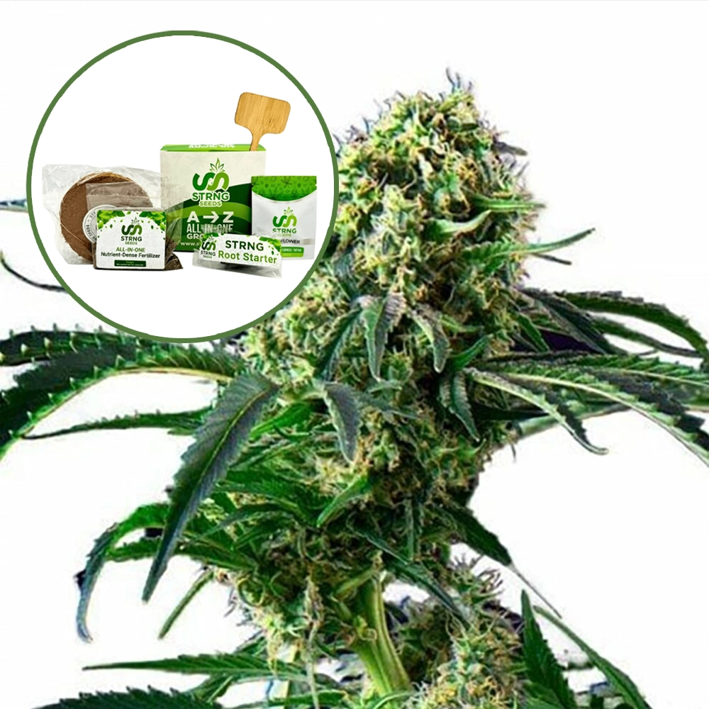 Wrecking Ball Strain Grow Kit