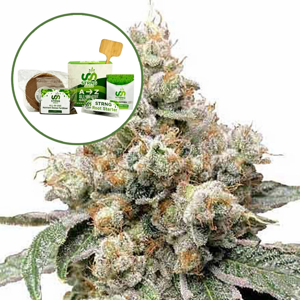 Alien OG Strain Grow Kit