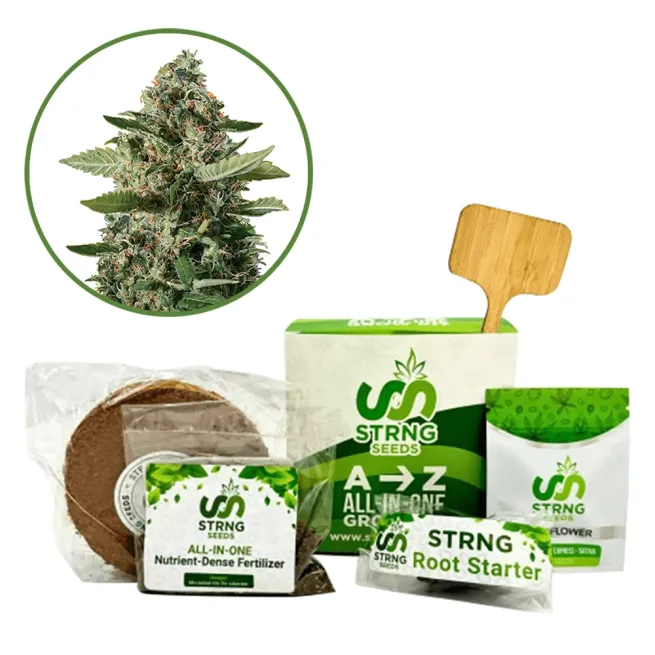 East Coast Sour Diesel Premium Grow Kit