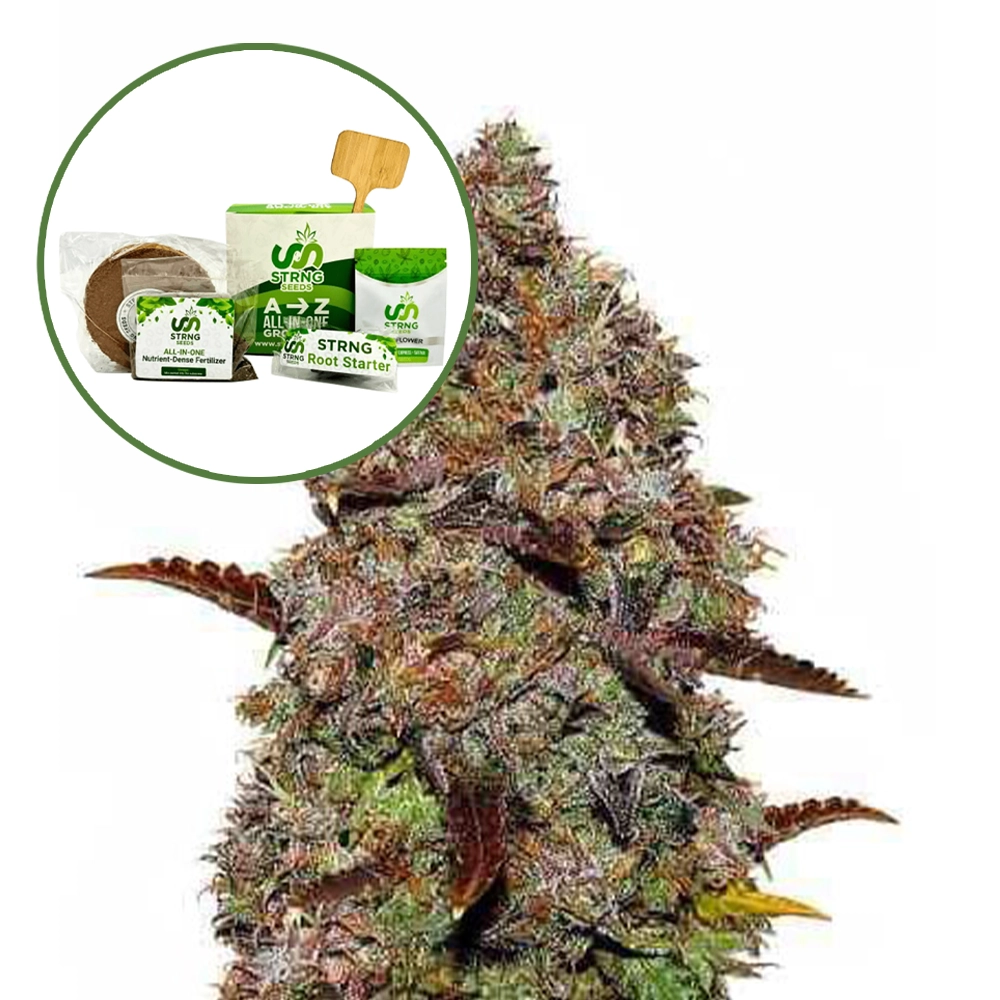 Gelato (THCA) Strain Grow Kit
