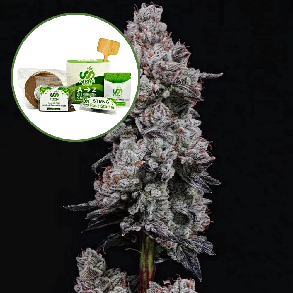 Lemon Cherry Gelato (THCA) Strain Grow Kit