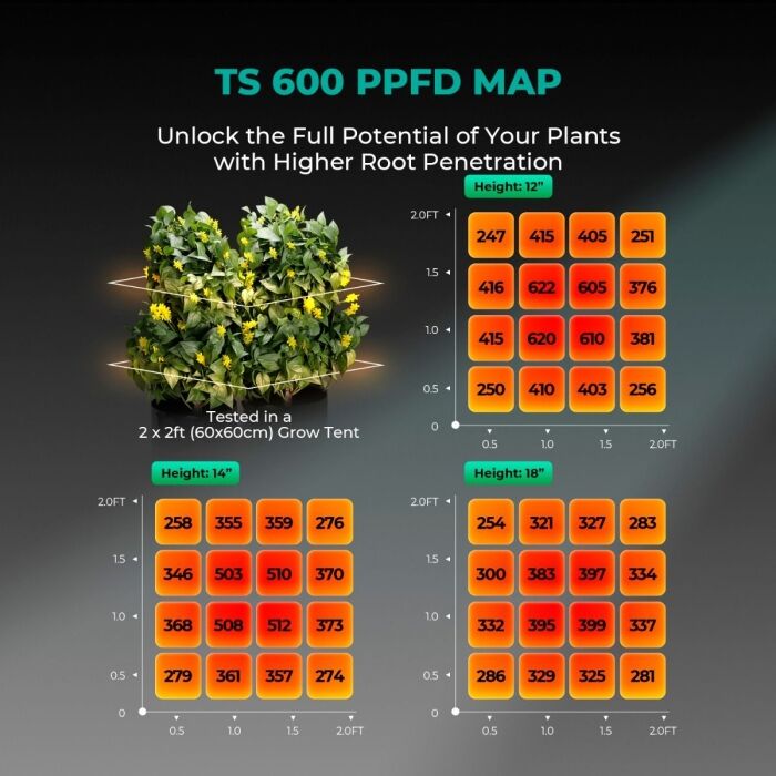Mars Hydro TS 600 Essential 100W Full Spectrum LED Grow Light for Beginners