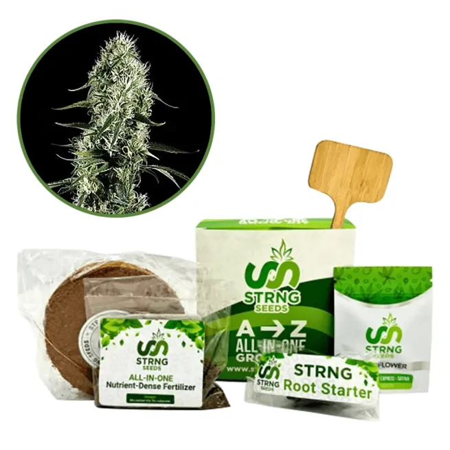 Super Silver Haze Premium Grow Kit