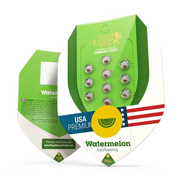 Watermelon Auto - Image 2