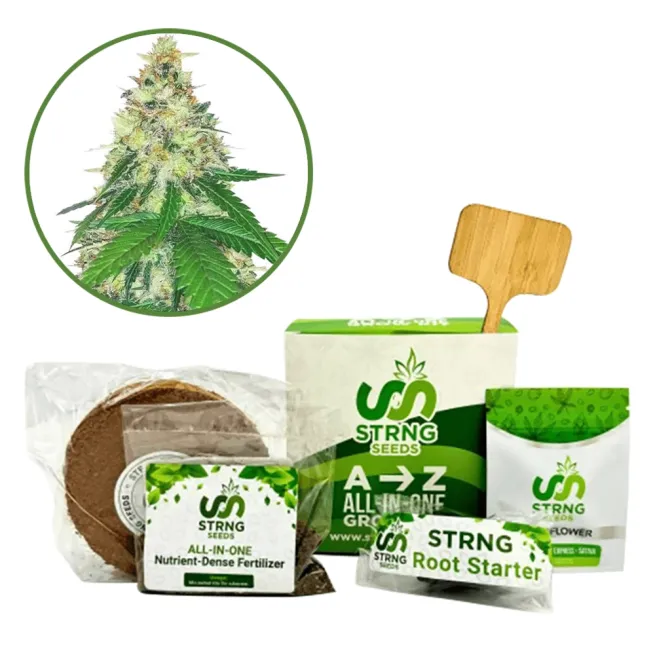 Apple Betty Premium Grow Kit