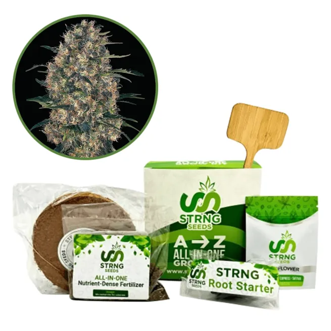 Black Domina Premium Grow Kit