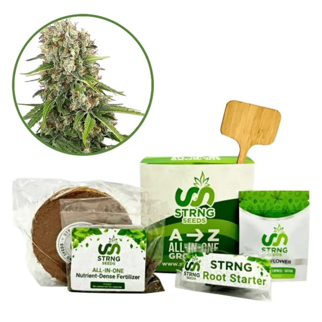 Blue Sunset Premium Grow Kit