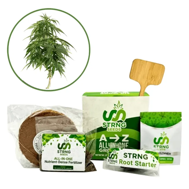 Blueberry Auto Premium Grow Kit