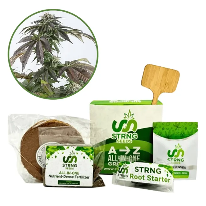 Bubba Kush Premium Grow Kit